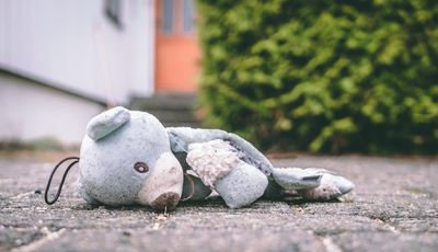Uczeń w kryzysie emocjonalnym miś