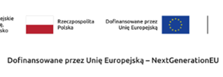 Informacja o realizacji programu 