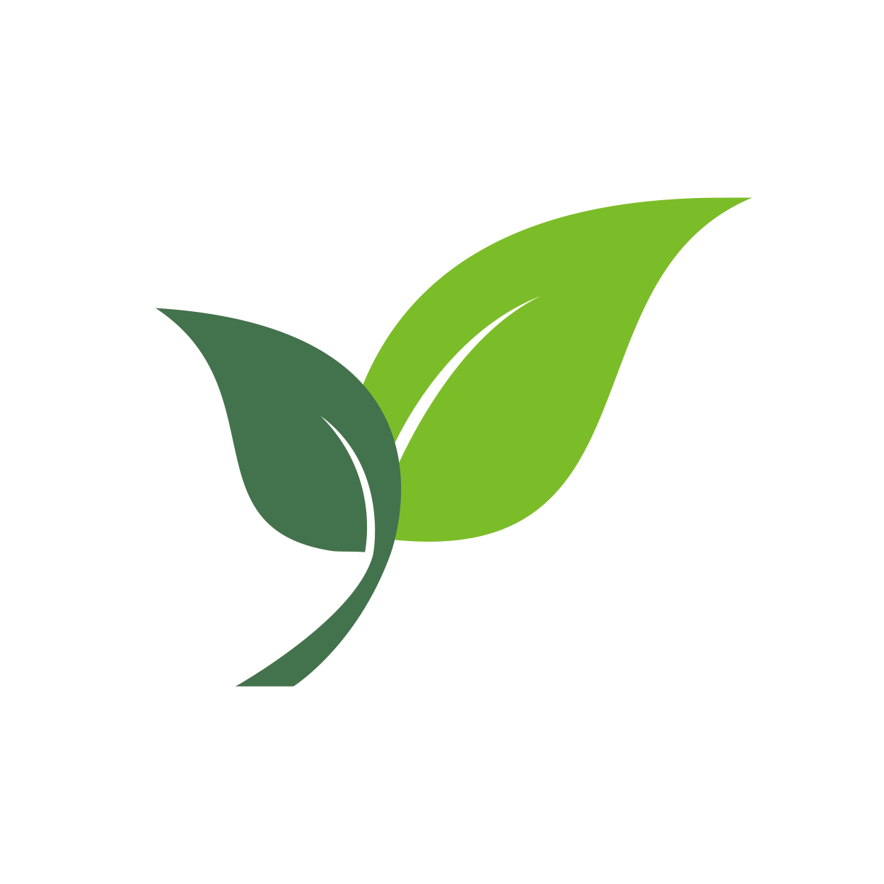 Logo ZUM